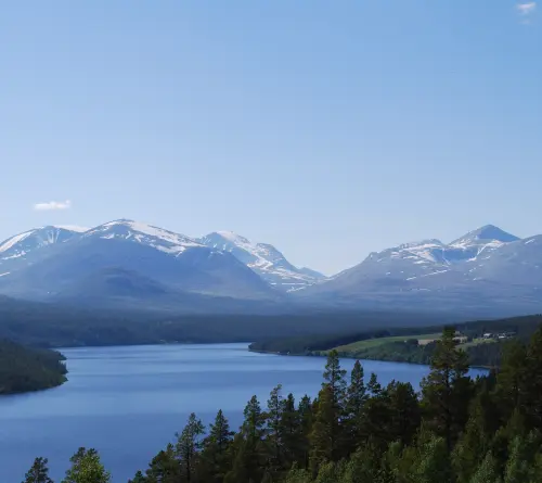 Psykiater Innlandet, Norway