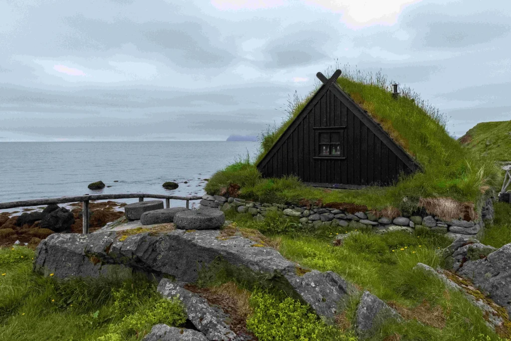 Psykiater Fuglevik