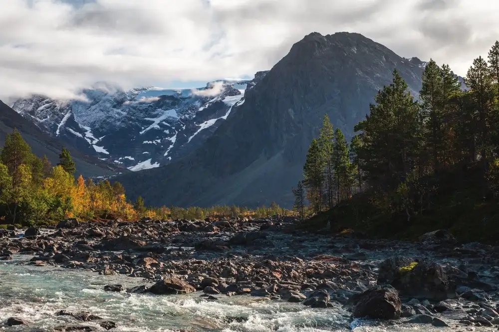Psykiater Lyngen