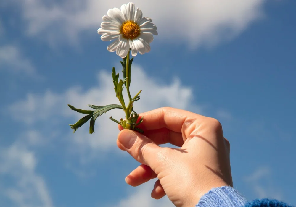 En hånd holder en hvit blomst mot blå himmel, som symbol på håp, positivitet og vekst relatert til psykisk-helse-og-livskvalitet i hverdagen.